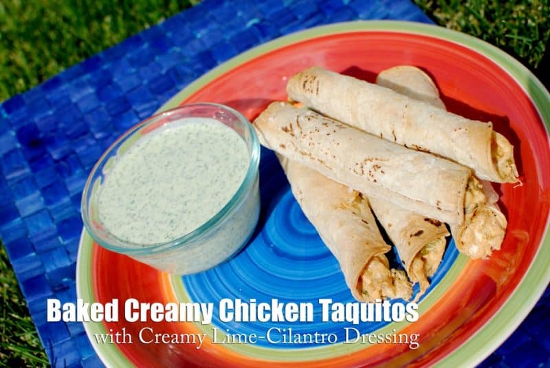 Creamy Chicken Taquitos