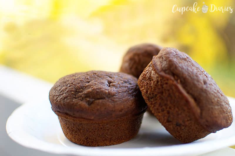 Chocolate Chip Applesauce Muffins