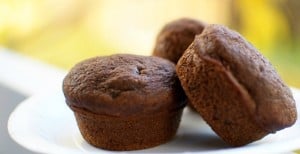 Chocolate Chip Applesauce Muffins