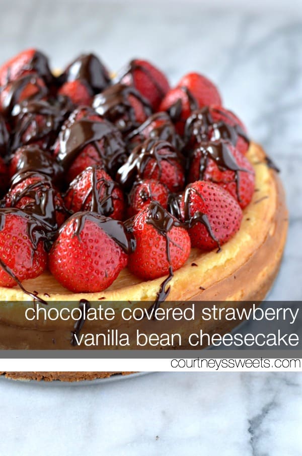 Chocolate Covered Strawberry Vanilla Bean Cheesecake