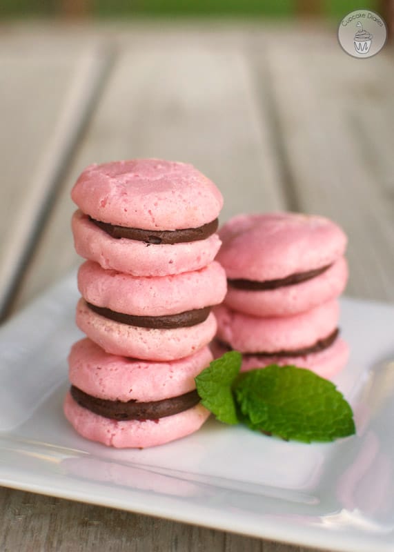 French Macarons - Chewy on the inside, lightly crunchy on the outside. These are the perfect macarons! 
