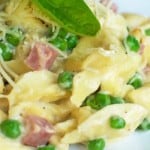 Tortellini Alfredo with Ham and Peas