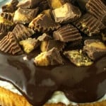 Peanut Butter Cup Cheesecake