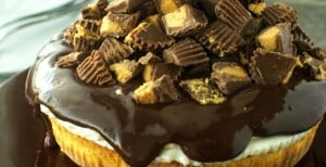 Peanut Butter Cup Cheesecake