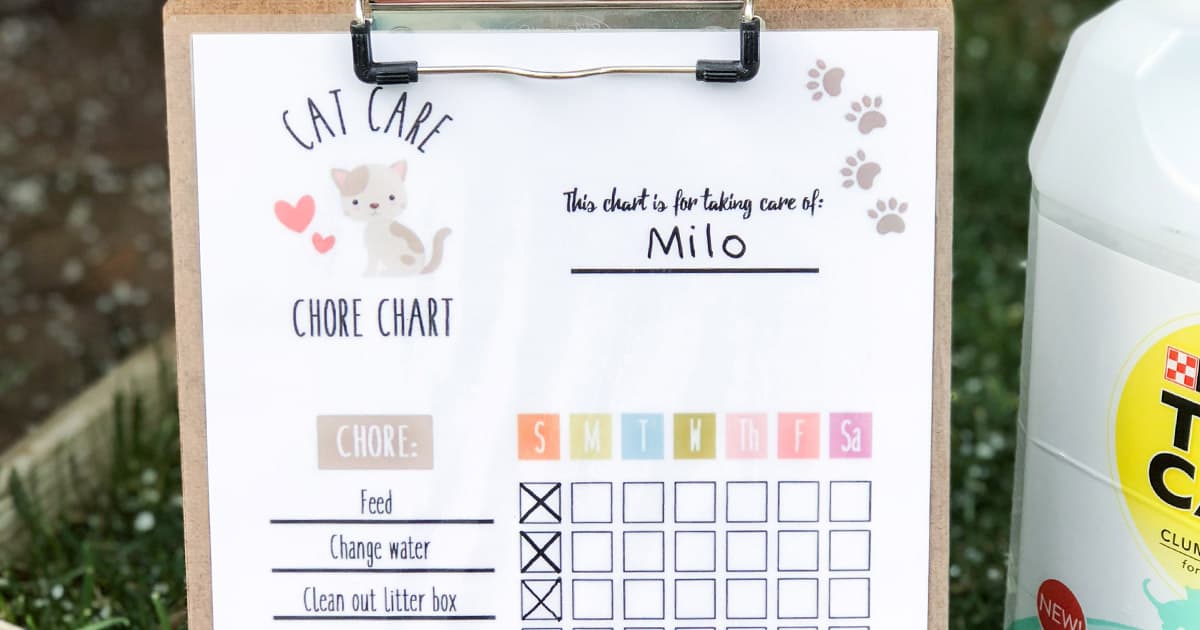 Cat Chore Chart
