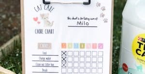 Cat Care Chore Chart