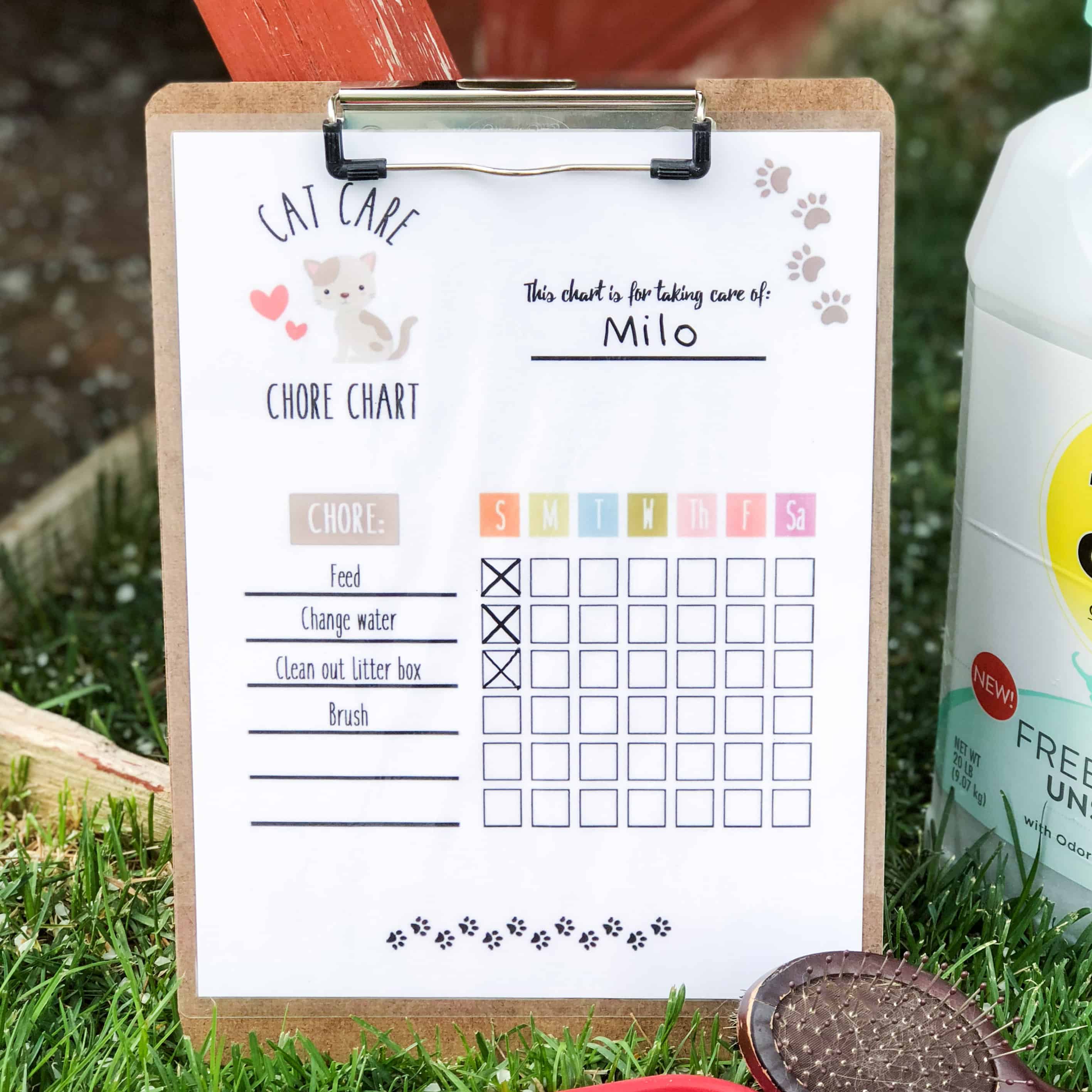 Cat Care Chore Chart