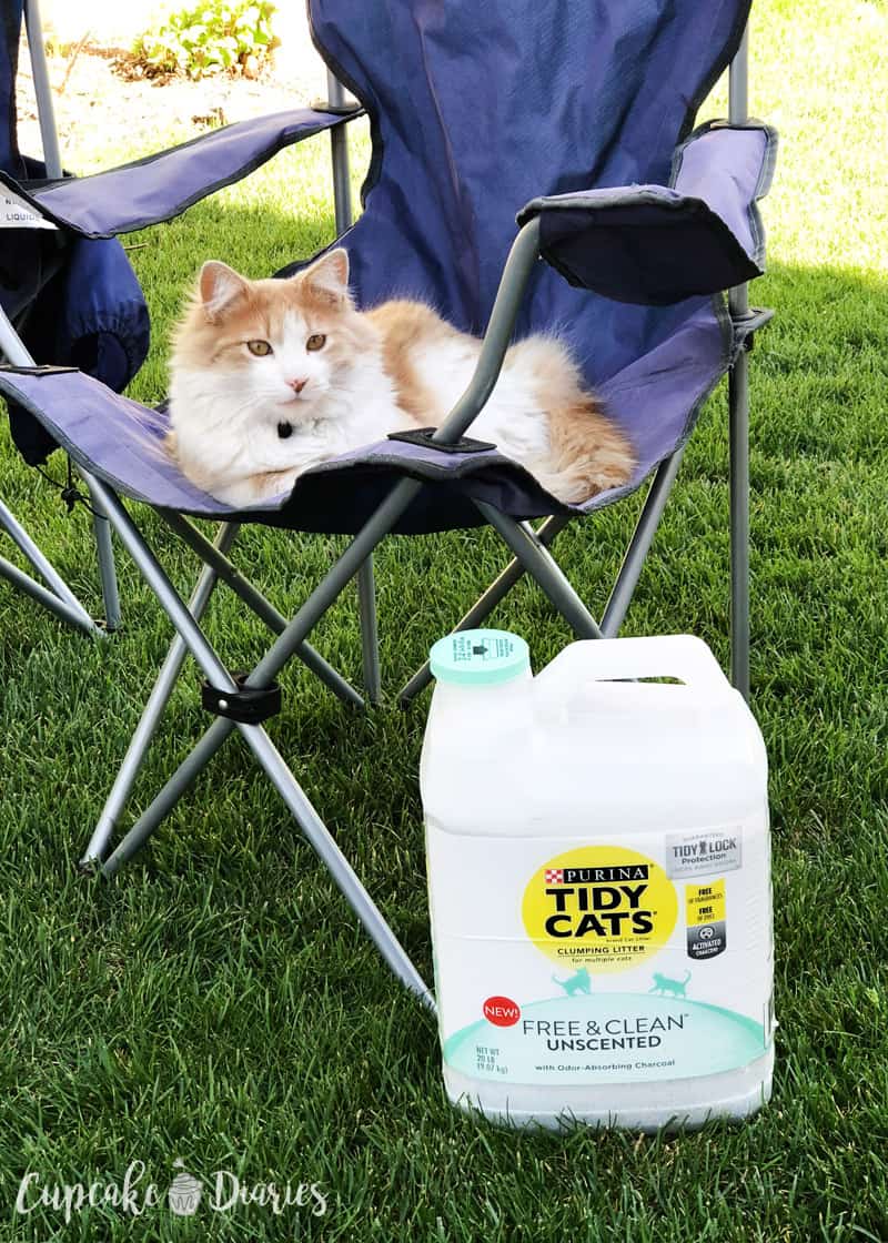 Tidy Cats Free and Clean Unscented Litter