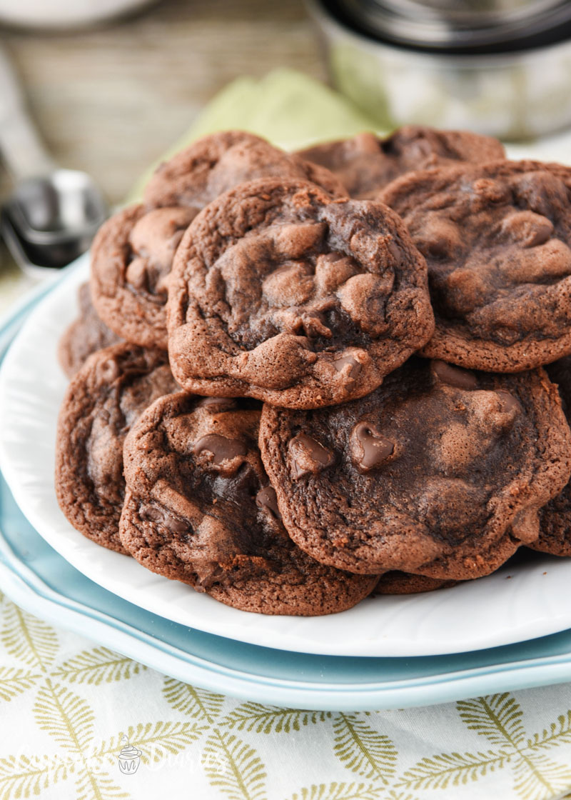 If you're a fan of chocolate desserts, you've got to try these wonderfully chewy chocolate chocolate chip cookies!