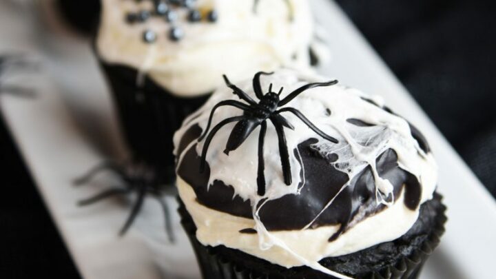 Halloween Cupcake Spiders 2022 Black And White Spider Web Cupcakes Cupcake Diaries